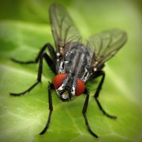 /album/kiydacharsubs/photolia-a01-jpg/