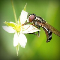 /album/kiydacharsubs/photolia-a02-jpg/