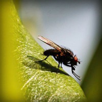 /album/kiydacharsubs/photolia-a04-jpg/