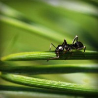 /album/kiydacharsubs/photolia-a05-jpg/