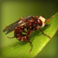 /album/kiydacharsubs/photolia-a06-jpg/