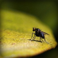 /album/kiydacharsubs/photolia-a07-jpg/