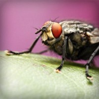 /album/kiydacharsubs/photolia-a08-jpg/